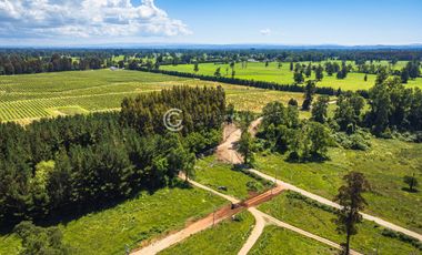 PARCELAS A 18 KM DE OSORNO - ROBLES DEL RAHUE
