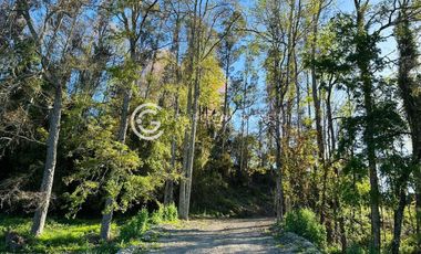 PARCELAS A 18 KM DE OSORNO - ROBLES DEL RAHUE