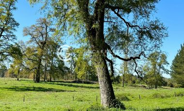 PARCELAS A 18 KM DE OSORNO - ROBLES DEL RAHUE