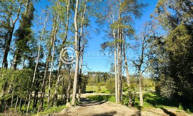 PARCELAS A 18 KM DE OSORNO - ROBLES DEL RAHUE