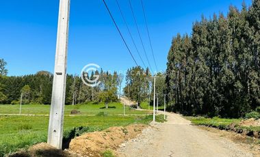 PARCELAS A 18 KM DE OSORNO - ROBLES DEL RAHUE