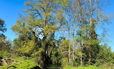 PARCELAS A 18 KM DE OSORNO - ROBLES DEL RAHUE