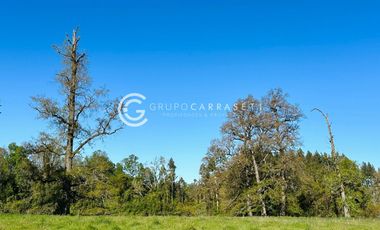 PARCELAS A 18 KM DE OSORNO - ROBLES DEL RAHUE