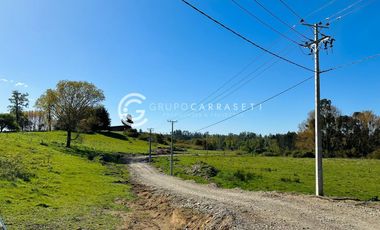 PARCELAS A 18 KM DE OSORNO - ROBLES DEL RAHUE