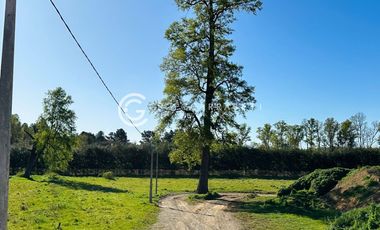 PARCELAS A 18 KM DE OSORNO - ROBLES DEL RAHUE