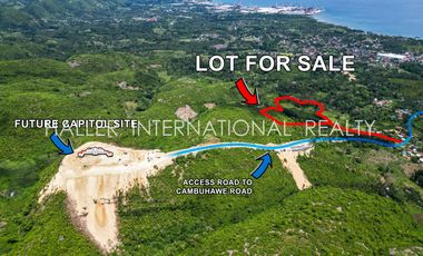 49,000 SQM Lot In Front of New Capitol Site With Road Right of Way | Balamban Cebu
