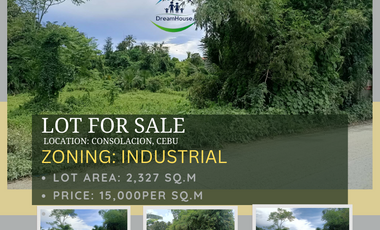 For Sale Industrial Lot in  Consolacion Cebu