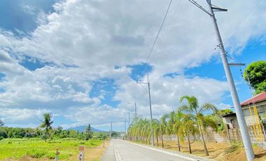 For as low as P3,019 monthly for Pagibig Financing, Ready For Occupancy Lofted Rowhouse @ Sta. Monica Homes Near Sta. Monica Elem. School