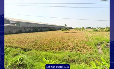 Tanah Industrial Karangbong Gedangan Sidoarjo Cocok untuk Gudang Pabrik dkt Lingkar Timur Buduran