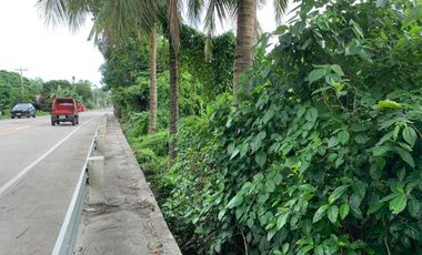 LOT FOR SALE ALONG PROVINCIAL ROAD IN BACONG ID 14784