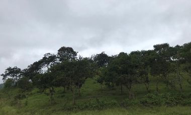 En TULIPE, vendo lotes de terreno para quintas vacacionales, entre 1300 y 2231m2