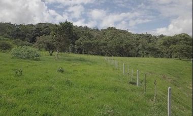 En TULIPE, vendo lotes de terreno para quintas vacacionales, entre 1300 y 2231m2