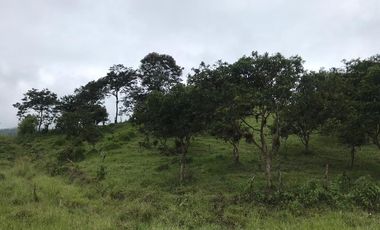 En TULIPE, vendo lotes de terreno para quintas vacacionales, entre 1300 y 2231m2