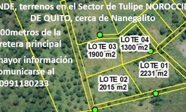 En TULIPE, vendo lotes de terreno para quintas vacacionales, entre 1300 y 2231m2