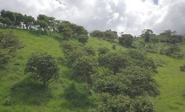 En TULIPE, vendo lotes de terreno para quintas vacacionales, entre 1300 y 2231m2
