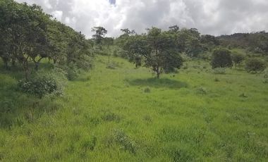 En TULIPE, vendo lotes de terreno para quintas vacacionales, entre 1300 y 2231m2