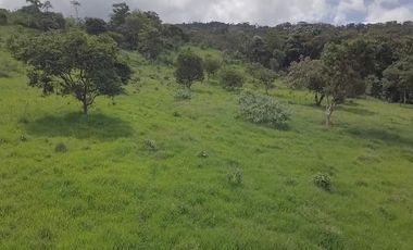 En TULIPE, vendo lotes de terreno para quintas vacacionales, entre 1300 y 2231m2