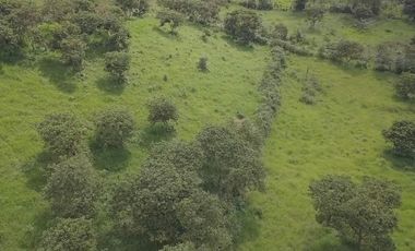 En TULIPE, vendo lotes de terreno para quintas vacacionales, entre 1300 y 2231m2