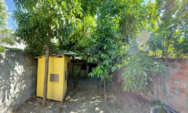 Se vende casa remodelada de dos pisos, patio con palto y frutales. Curicó, 3 piezas 1 baño