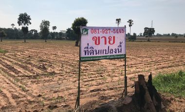 Land for sale located at Nakorn Ratchasrima province.