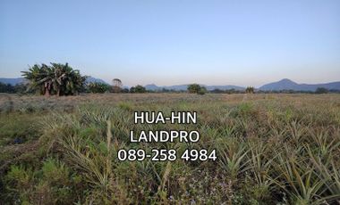 14-0-0 RAI | HOT! MOUNTAIN VIEW LAND WITH EXCELLENT INVESTMENT OPPORTUNITY! -  NEAR BEAUTIFUL BEACHES & GOLF COURSES