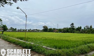 Tanah Sawah Murah di Tirtonirmolo Dekat Desa Wisata Kasongan Bantul Yogyakarta