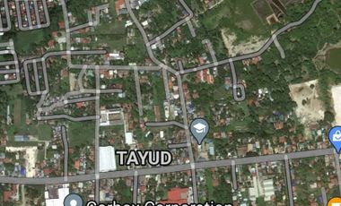 For Sale 146 Sqm Residential Lot in Tayud, Liloan Cebu