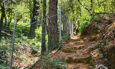 🏡✨ HERMOSA CABAÑA EN LA MONTAÑA– MINERAL DEL CHICO, PUEBLO MÁGICO🌲