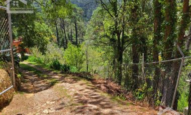 🏡✨ HERMOSA CABAÑA EN LA MONTAÑA– MINERAL DEL CHICO, PUEBLO MÁGICO🌲