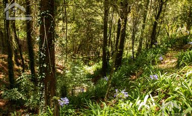 🏡✨ HERMOSA CABAÑA EN LA MONTAÑA– MINERAL DEL CHICO, PUEBLO MÁGICO🌲