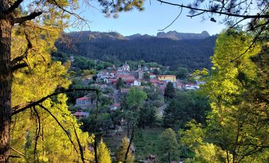 🏡✨ HERMOSA CABAÑA EN LA MONTAÑA– MINERAL DEL CHICO, PUEBLO MÁGICO🌲