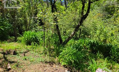 🏡✨ HERMOSA CABAÑA EN LA MONTAÑA– MINERAL DEL CHICO, PUEBLO MÁGICO🌲