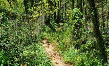 🏡✨ HERMOSA CABAÑA EN LA MONTAÑA– MINERAL DEL CHICO, PUEBLO MÁGICO🌲