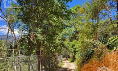🏡✨ HERMOSA CABAÑA EN LA MONTAÑA– MINERAL DEL CHICO, PUEBLO MÁGICO🌲
