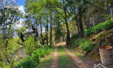 🏡✨ HERMOSA CABAÑA EN LA MONTAÑA– MINERAL DEL CHICO, PUEBLO MÁGICO🌲