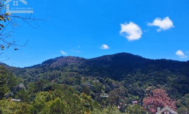🏡✨ HERMOSA CABAÑA EN LA MONTAÑA– MINERAL DEL CHICO, PUEBLO MÁGICO🌲