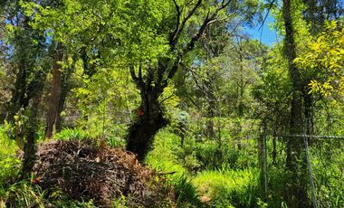 🏡✨ HERMOSA CABAÑA EN LA MONTAÑA– MINERAL DEL CHICO, PUEBLO MÁGICO🌲