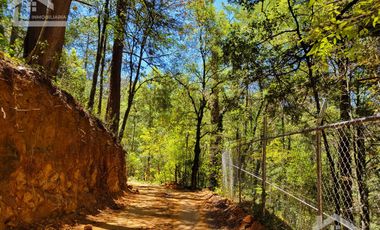 🏡✨ HERMOSA CABAÑA EN LA MONTAÑA– MINERAL DEL CHICO, PUEBLO MÁGICO🌲