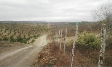 Terreno de Venta en vía a la Costa