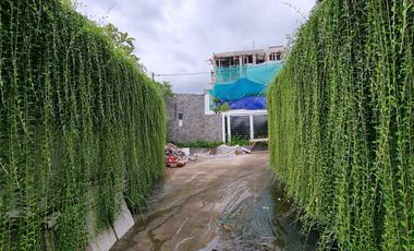 House For Rent, Furnished & Newly Renovated - Kemang Utara, South Jakarta
