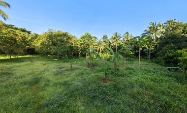 Tagaytay Farm Lot for Sale in Alfonso Cavite at 1 hectare