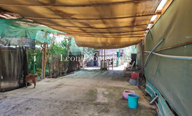 Leon Propiedades vende parcela plana con 2 casas en sector Cuyuncavi, Curacavi