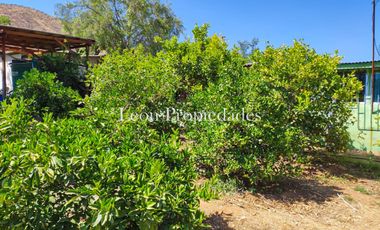 Leon Propiedades vende parcela plana con 2 casas en sector Cuyuncavi, Curacavi