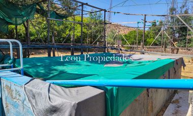 Leon Propiedades vende parcela plana con 2 casas en sector Cuyuncavi, Curacavi