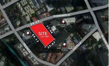 Lot for Sale in N. Domingo St  QC