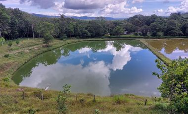 VENTA DE FINCA CON UNIDAD DE PRODUC.DE ESPECIES DE PESCADO DE AGUA CALIENTE