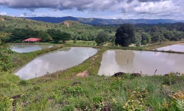 VENTA DE FINCA CON UNIDAD DE PRODUC.DE ESPECIES DE PESCADO DE AGUA CALIENTE