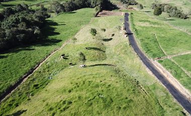 VENDO LOTE EN SAN PEDRO DE LOS MILAGROS
