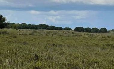 ❗❗𝐅𝐎𝐑 𝐒𝐀𝐋𝐄 𝐅𝐀𝐑𝐌 𝐋𝐀𝐍𝐃 𝐈𝐍 𝐍𝐔𝐄𝐕𝐀 𝐄𝐂𝐈𝐉𝐀 ❗❗