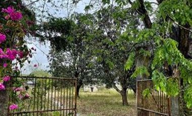 ❗❗𝐅𝐎𝐑 𝐒𝐀𝐋𝐄 𝐅𝐀𝐑𝐌 𝐋𝐀𝐍𝐃 𝐈𝐍 𝐍𝐔𝐄𝐕𝐀 𝐄𝐂𝐈𝐉𝐀 ❗❗